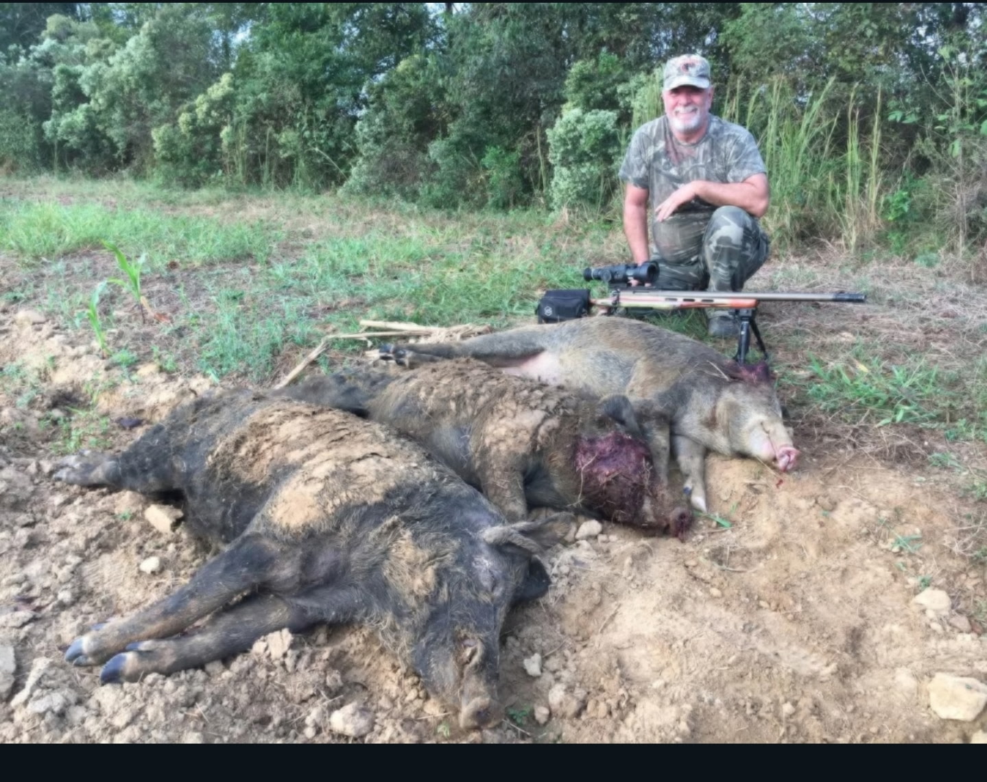 Genuine Hog Hammers daytime hog harvest photo