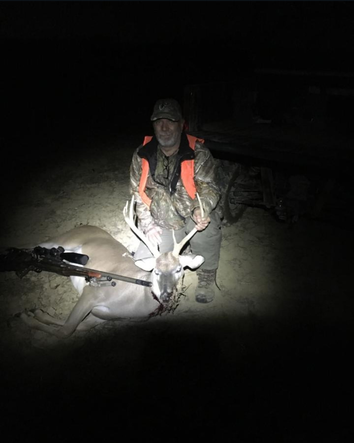 Genuine low-light field photo from the property