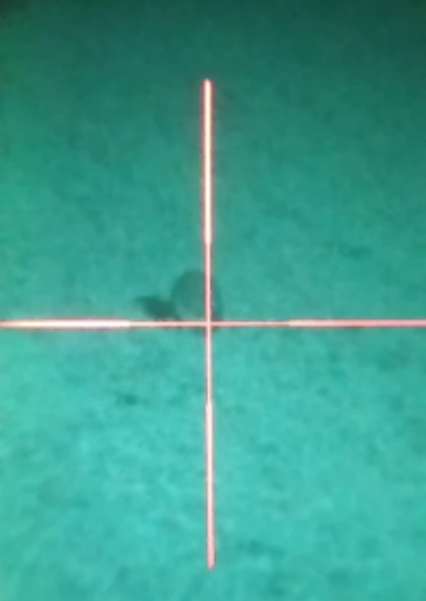 Scope view of a hog silhouette in green night vision